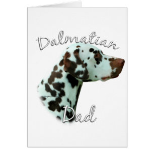 Dalmatian (hígado) Papá 2