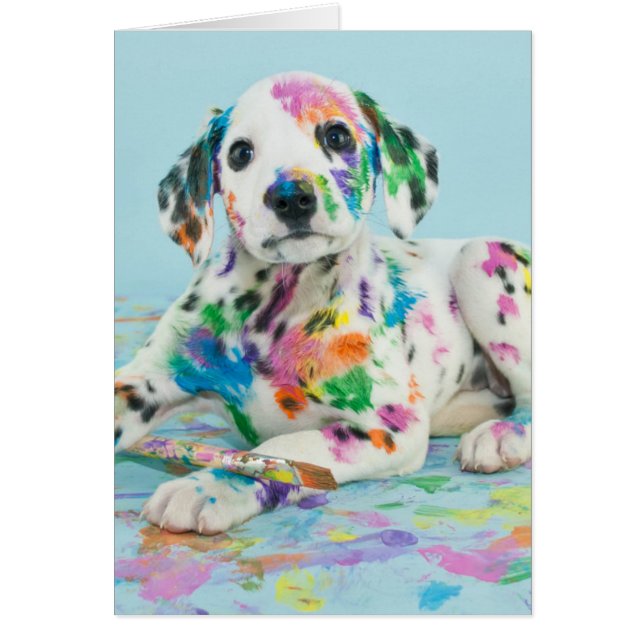 Dalmatian Puppy (Frente)