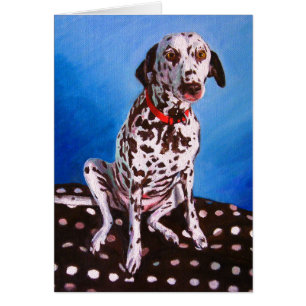 Dalmatian sobre cojín esporádico 2011