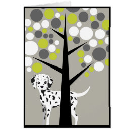 Dalmation querido