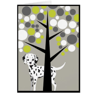 Dalmation querido