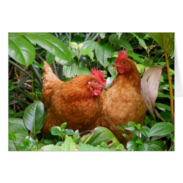 Damas en espera (Anverso (Horizontal))