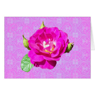 Damasco color de rosa violeta