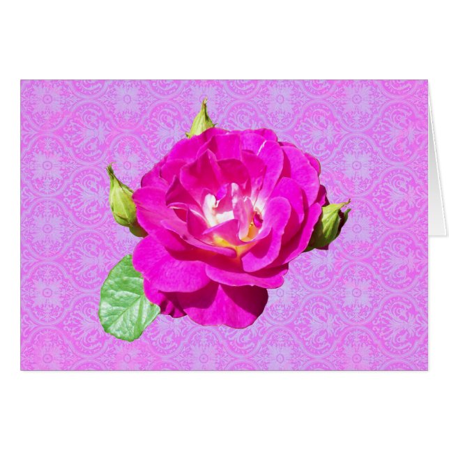 Damasco color de rosa violeta (Anverso (Horizontal))