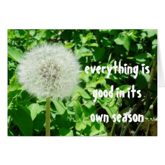 Dandelion (Anverso (Horizontal))