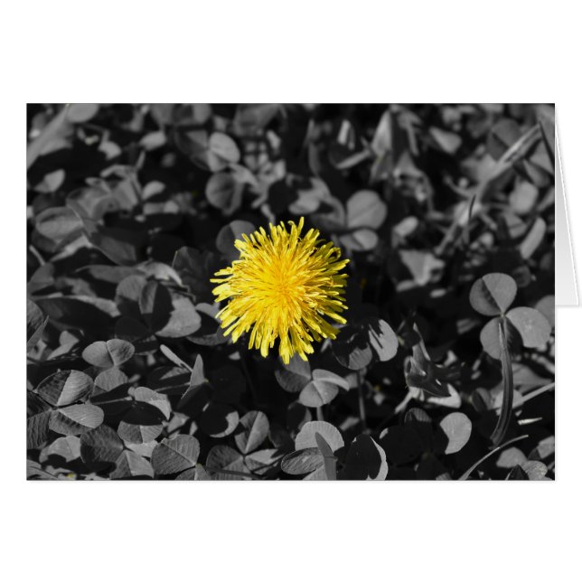Dandelion (Anverso (Horizontal))
