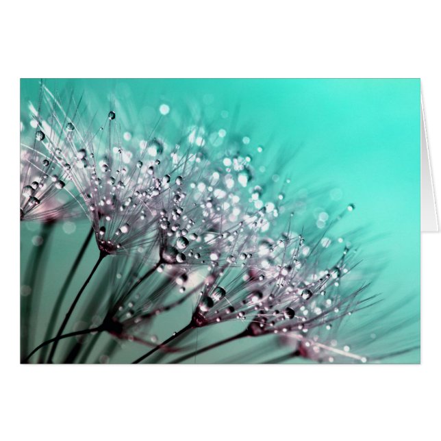 Dandelion (Anverso (Horizontal))