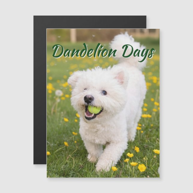 Dandelion Days (Anverso/Reverso)