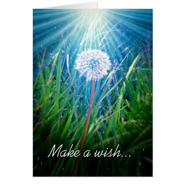 Dandelion Macro (Frente)