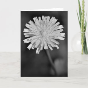 Dandelion / Noir, tarjeta