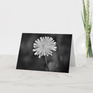 Dandelion / Noir, tarjeta