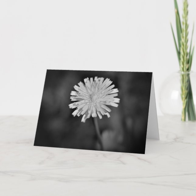 Dandelion / Noir, tarjeta (Anverso)