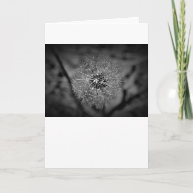 Dandelion - Noir, tarjeta (Anverso)