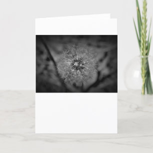 Dandelion - Noir, tarjeta