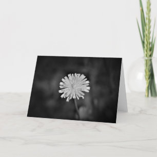 Dandelion / Noir, tarjeta