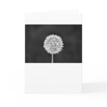 Dandelion - Noir, tarjeta