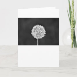 Dandelion - Noir, tarjeta