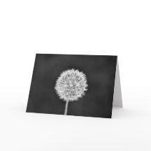 Dandelion - Noir, tarjeta