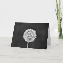 Dandelion - Noir, tarjeta