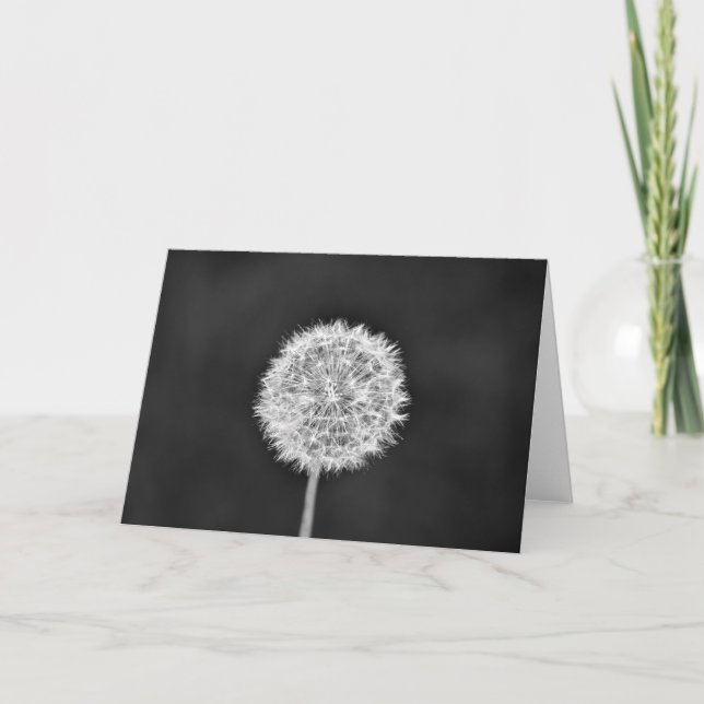 Dandelion - Noir, tarjeta (Anverso)