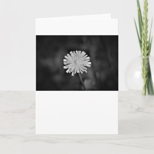 Dandelion / Noir, tarjeta (Anverso)