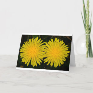 Dandelion, tarjeta