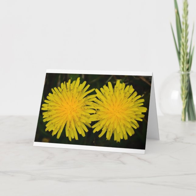 Dandelion, tarjeta (Anverso)