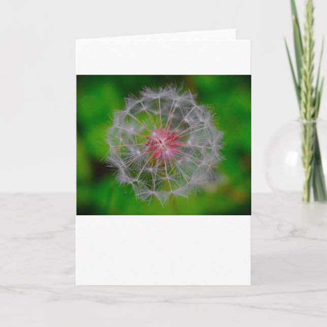 Dandelion, tarjeta (Anverso)