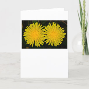 Dandelion, tarjeta