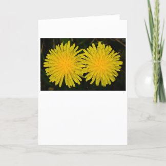 Dandelion, tarjeta