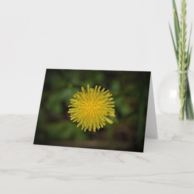 Dandelion, tarjeta (Anverso)