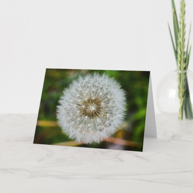 Dandelion, tarjeta (Anverso)