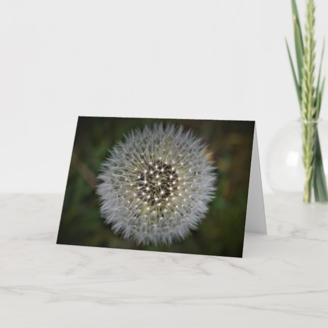 Dandelion, tarjeta (Anverso)