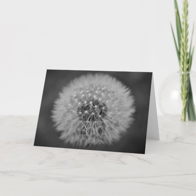 Dandelion, tarjeta (Anverso)