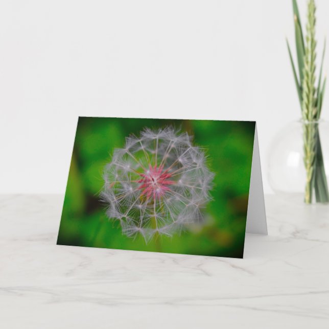Dandelion, tarjeta (Anverso)