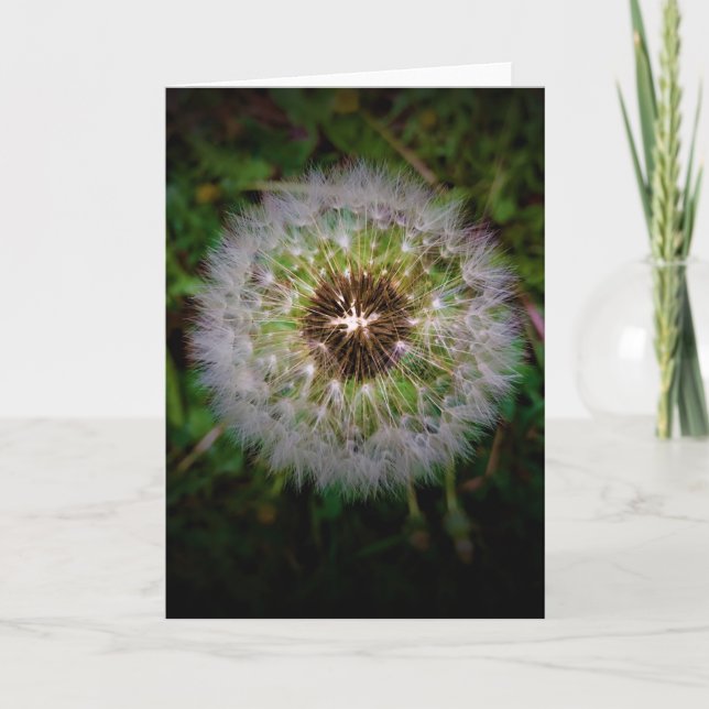 Dandelion, tarjeta (Anverso)