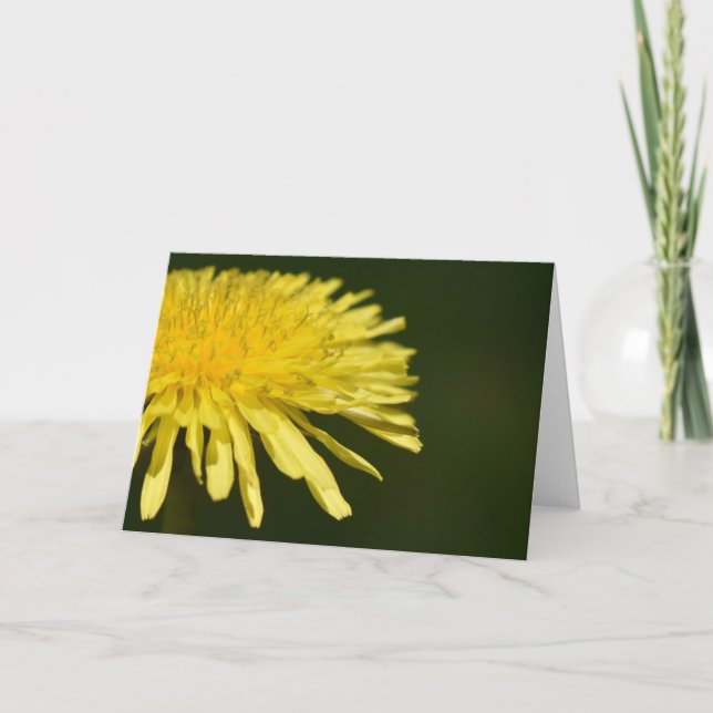 Dandelion, tarjeta (Anverso)