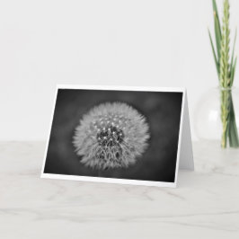 Dandelion, tarjeta