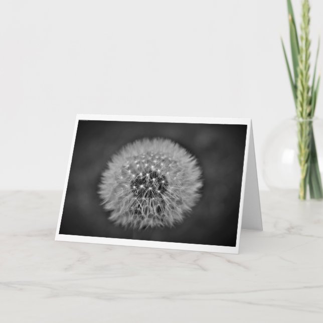 Dandelion, tarjeta (Anverso)