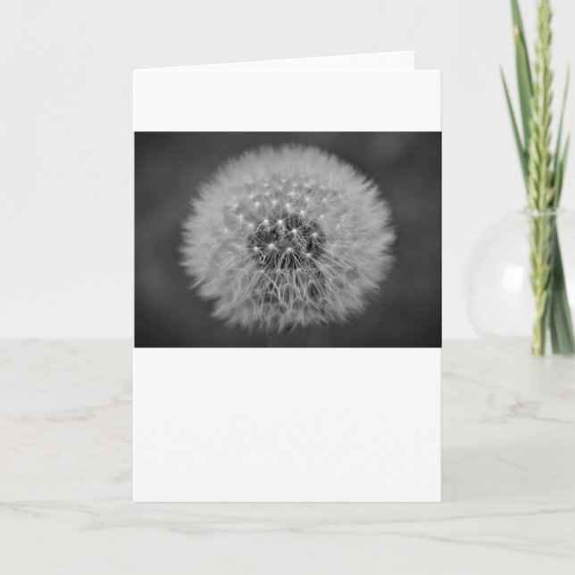 Dandelion, tarjeta (Anverso)