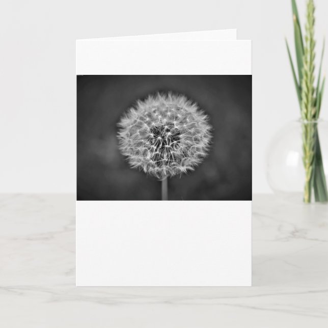 Dandelion, tarjeta (Anverso)