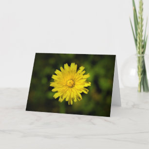 Dandelion, tarjeta
