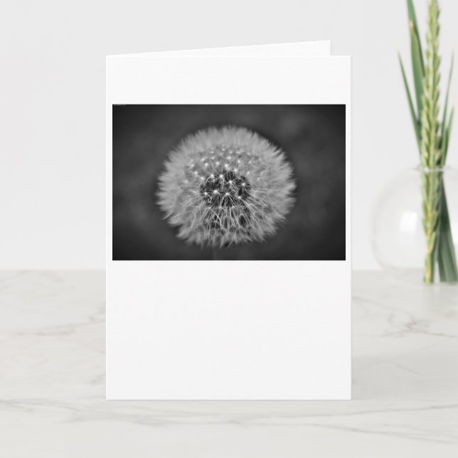 Dandelion, tarjeta (Anverso)
