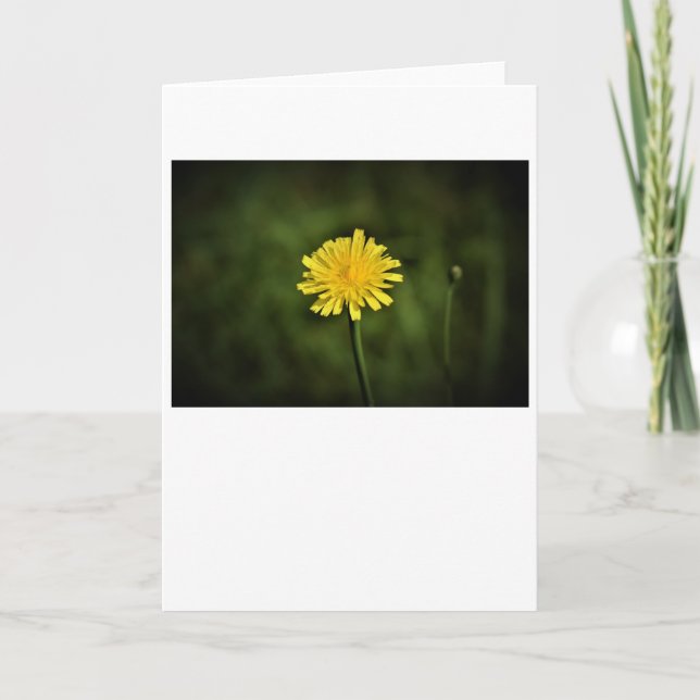 Dandelion, tarjeta (Anverso)