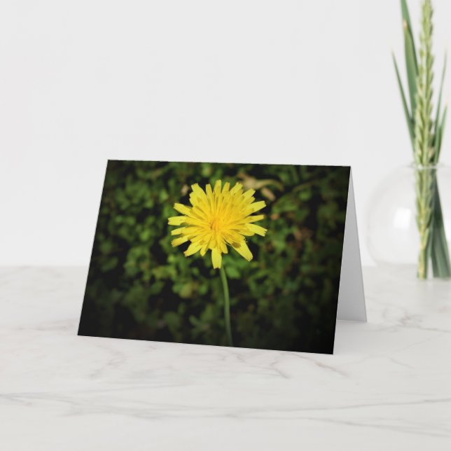 Dandelion, tarjeta (Anverso)