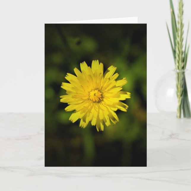 Dandelion, tarjeta (Anverso)