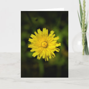 Dandelion, tarjeta