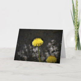Dandelion, tarjeta
