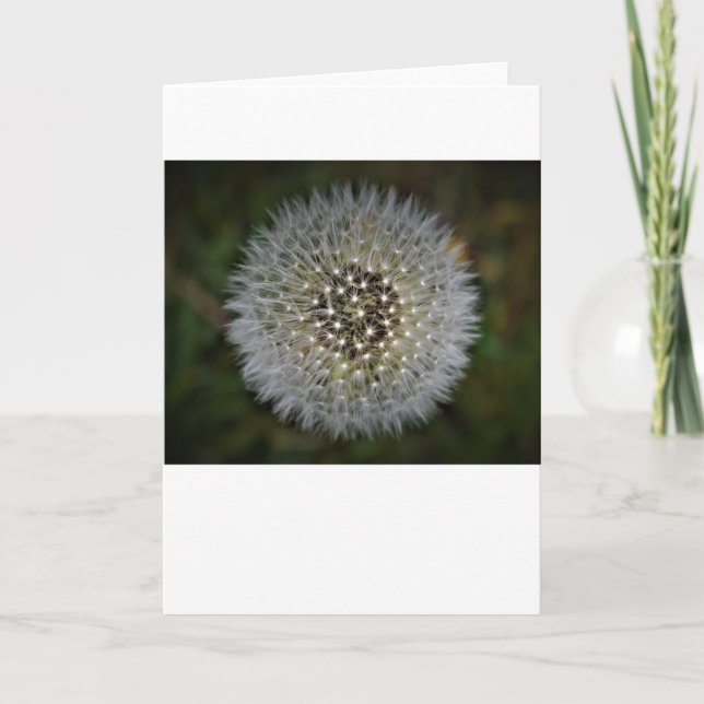 Dandelion, tarjeta (Anverso)