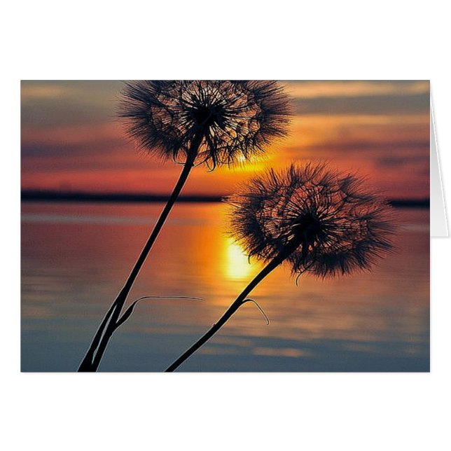 Dandelions (Anverso (Horizontal))